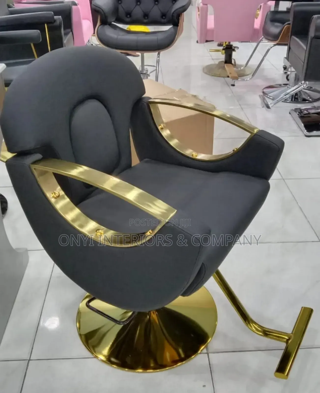 Stylish Salon Chair
