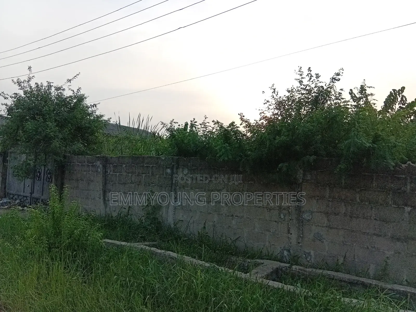 Land for Sale