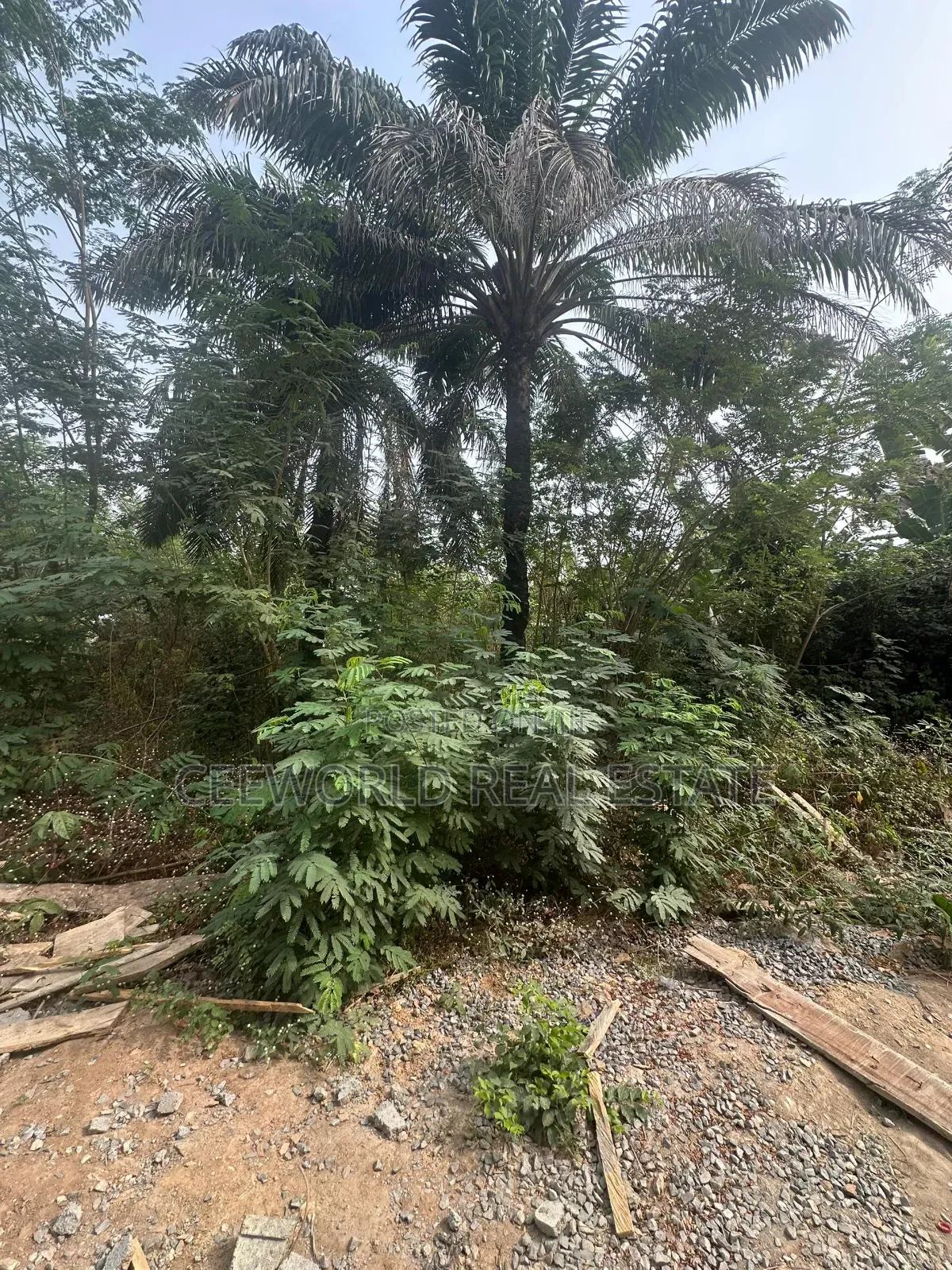 Jare Alade Close Jericho Idi Ishin*
*1611sqm Bare Land