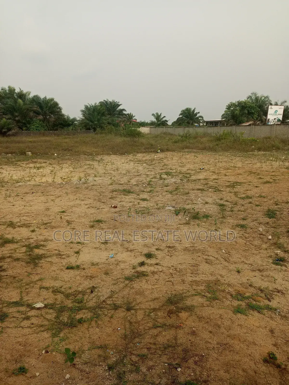 Mowe Ofada Genuine Land