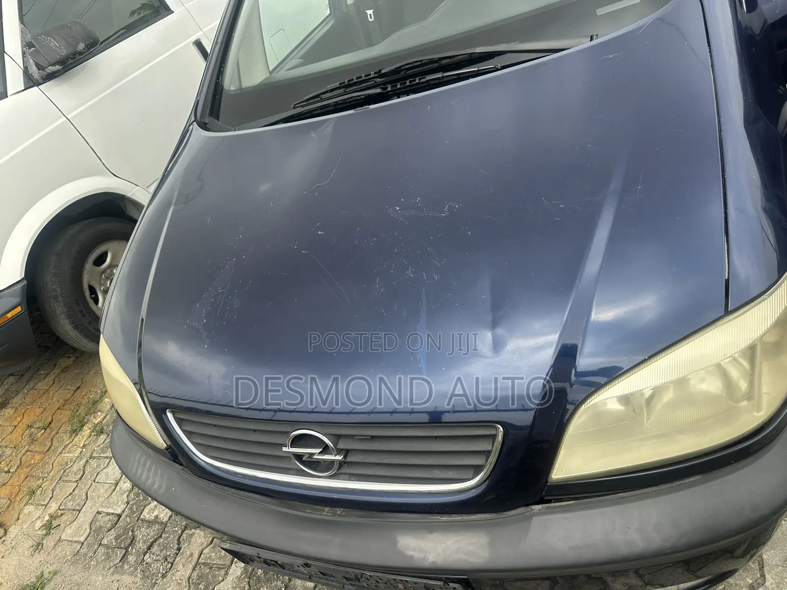 Opel Zafira Snowtrekker 2000 Blue
