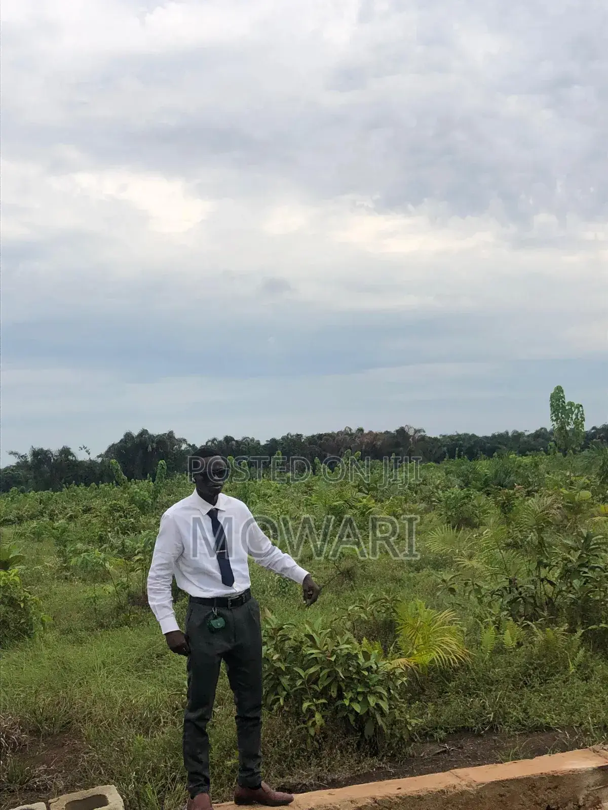 Inspect Land Today Before Prices Move.