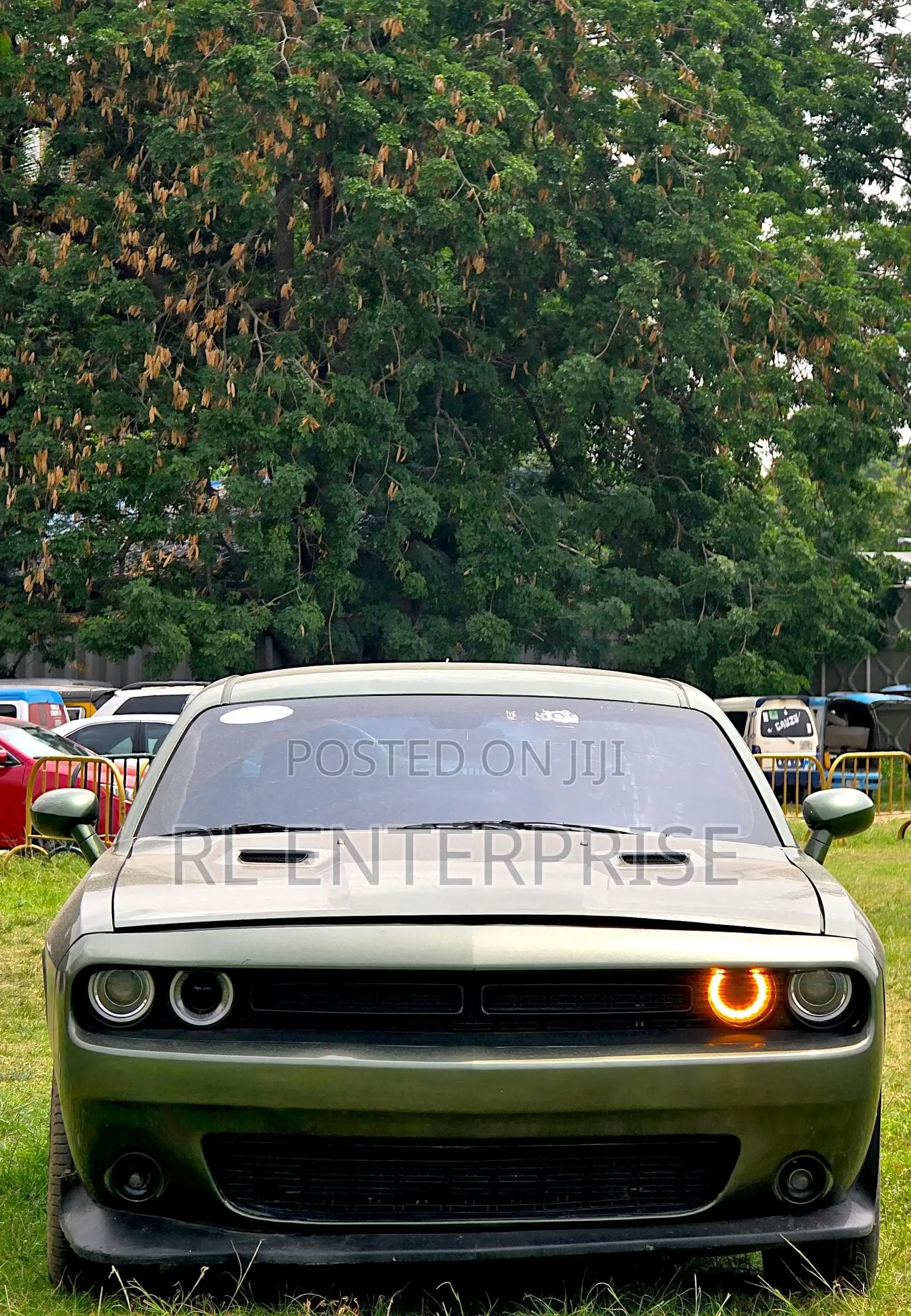 Dodge Challenger R/T RWD 2019 Green