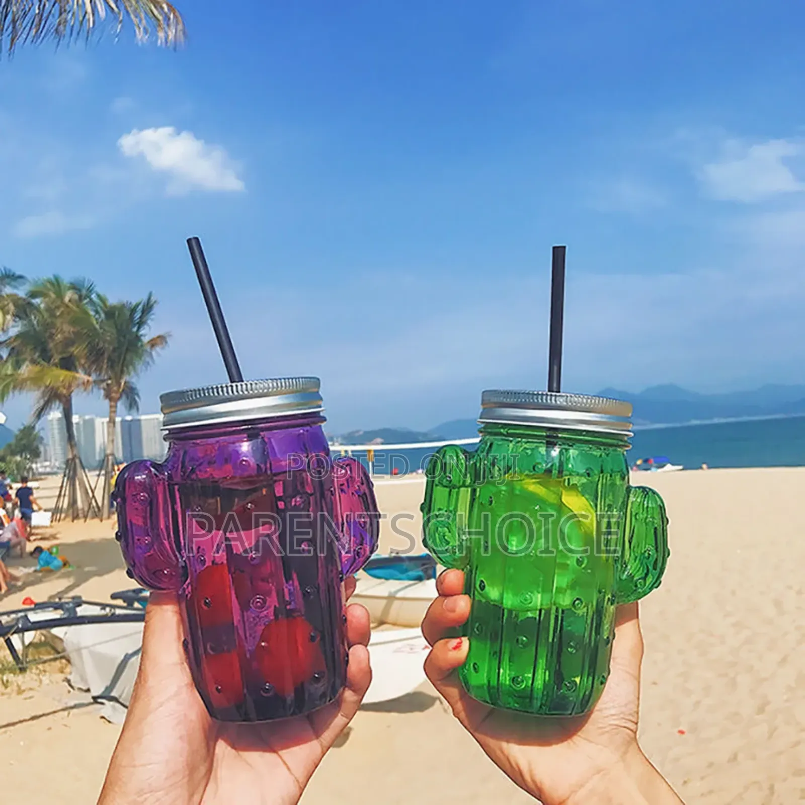Faded Cactus Mason Jars 16oz / 454ml