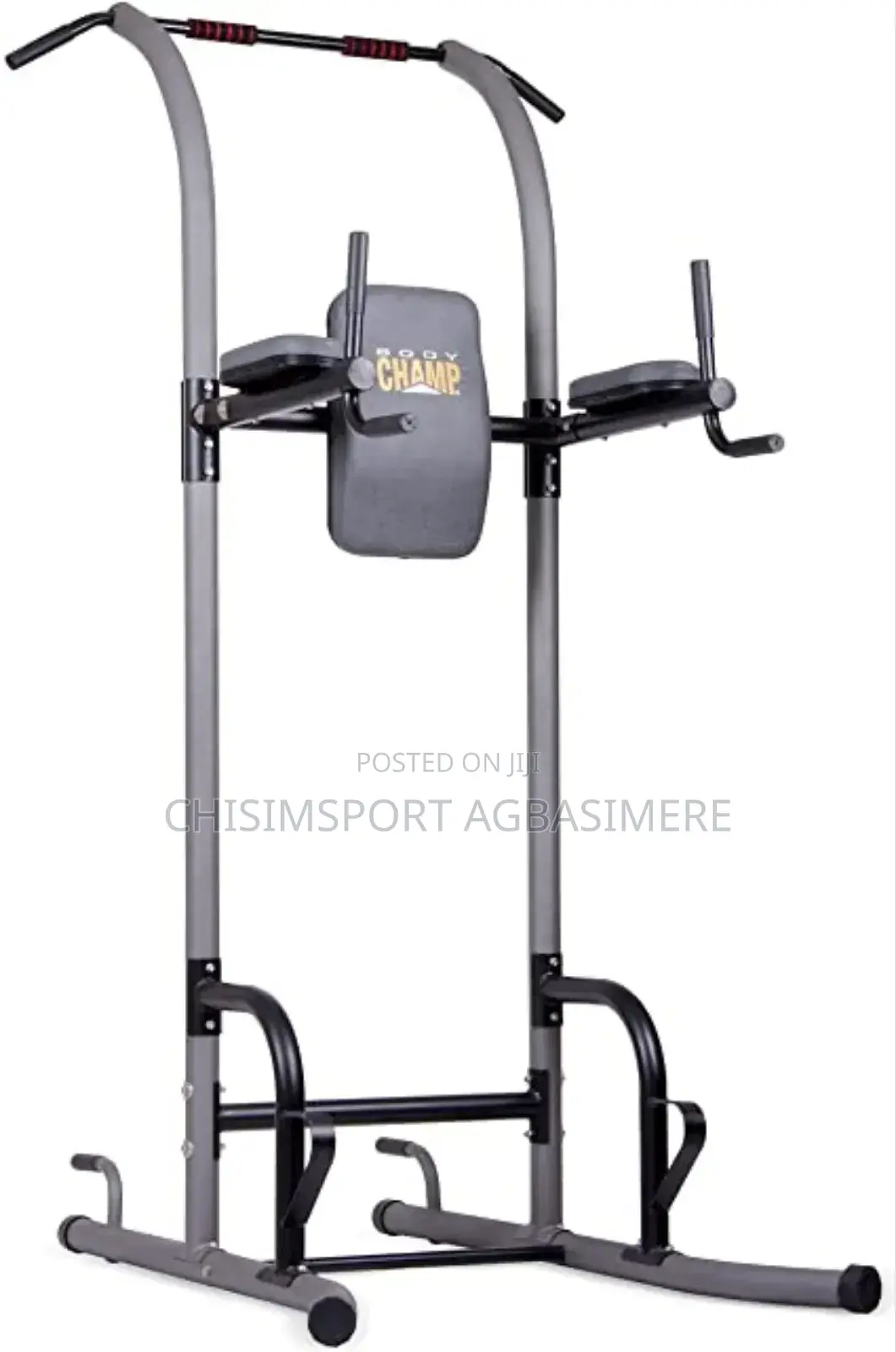 Dip Chin Machine