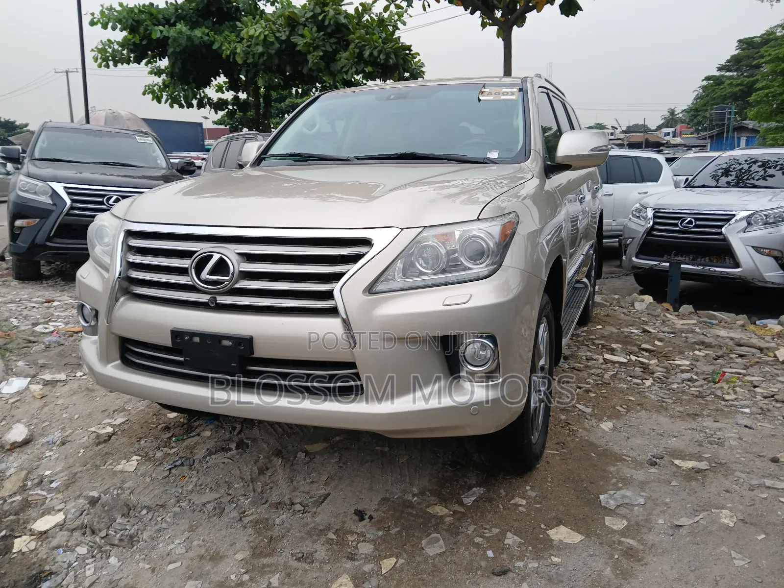 Lexus LX 570 AWD 2014 Gold