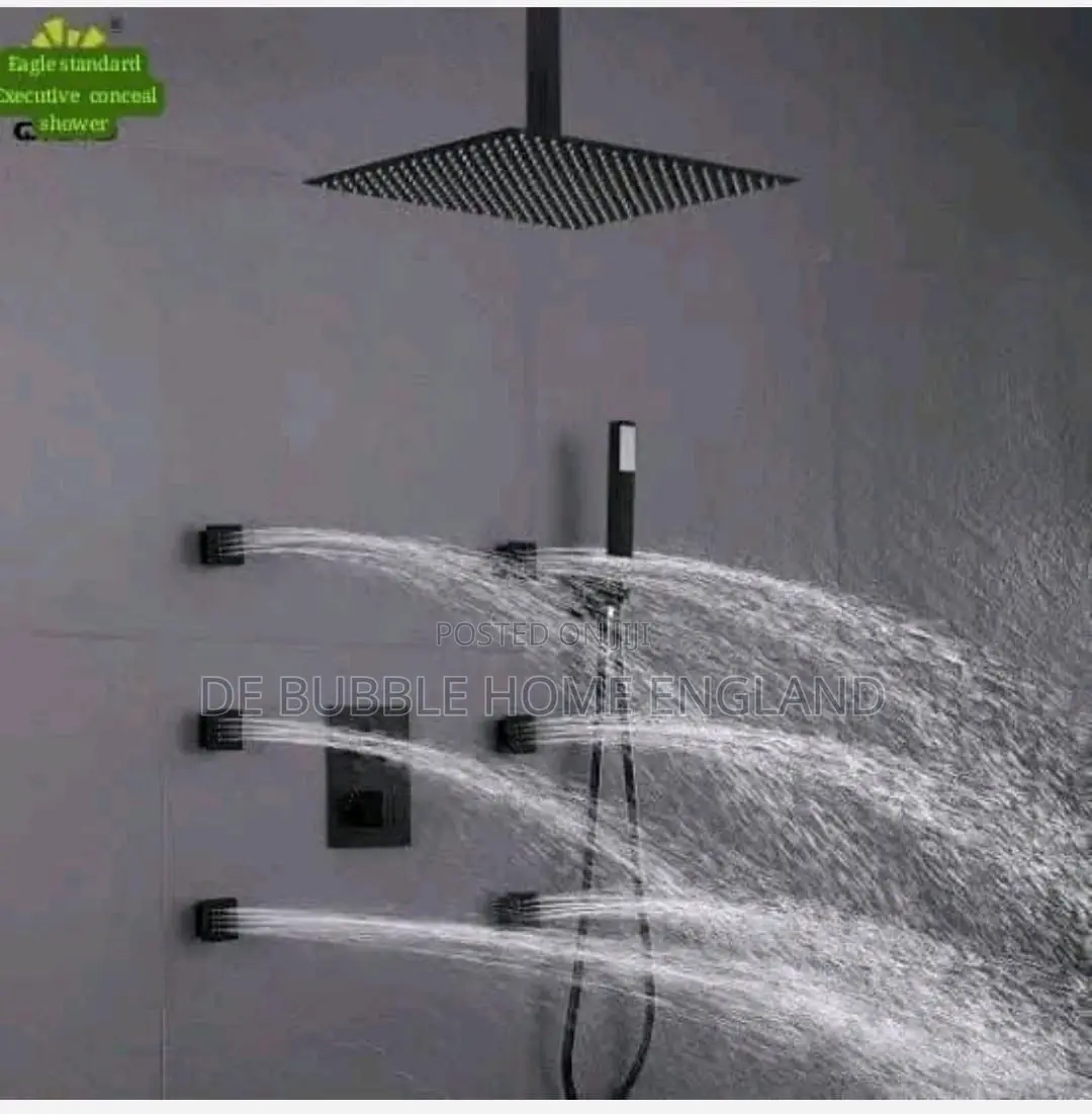 Executive Ceiling Pole Shower With Jet
