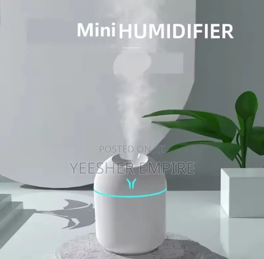 Small Humidifier For Souvenir