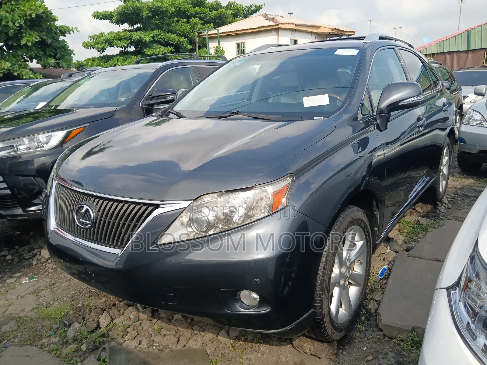 Lexus RX 350 2010 Gray