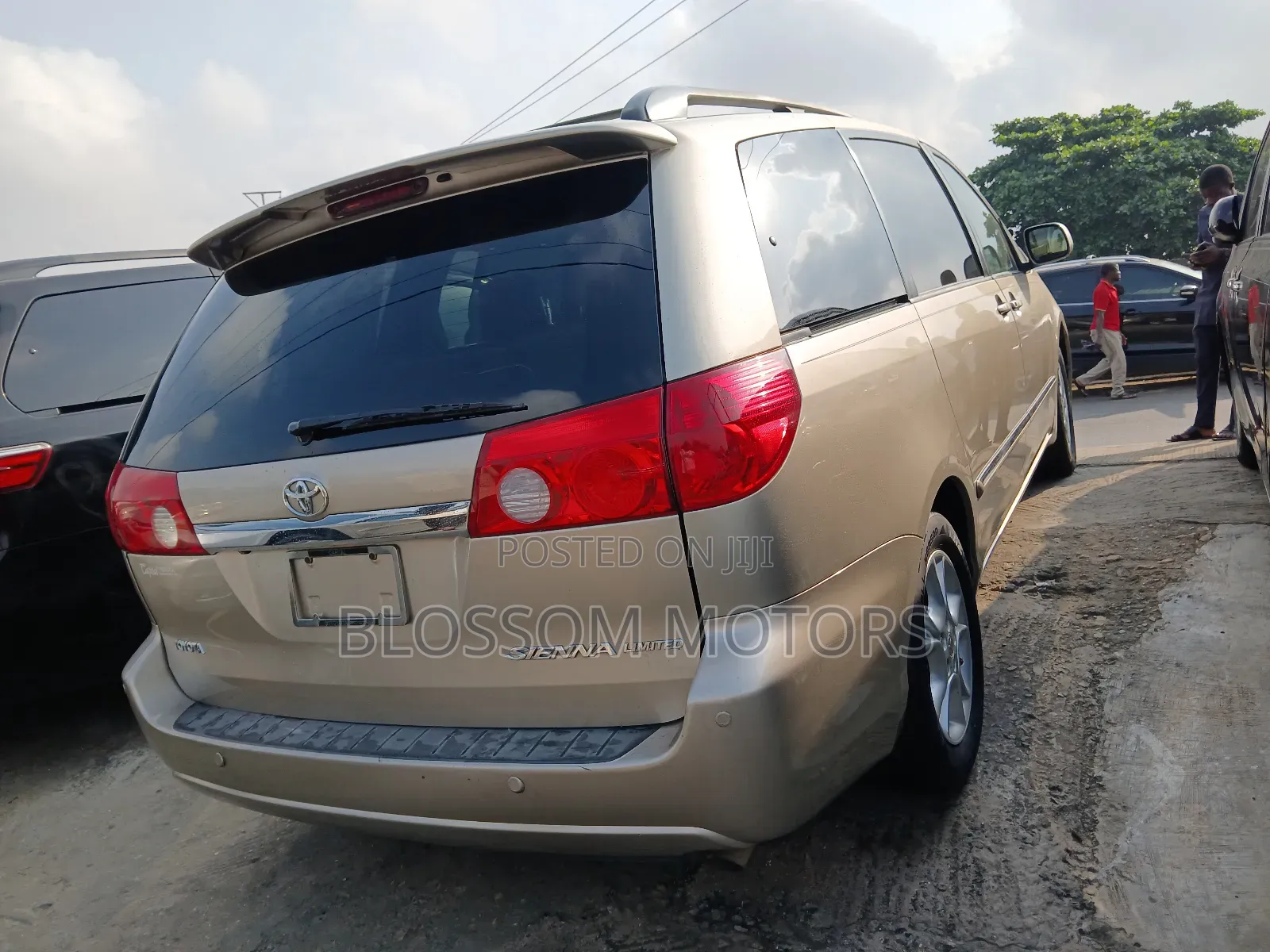 Toyota Sienna XLE Limited 2008 Gold