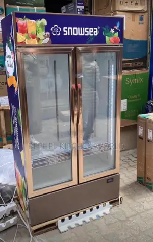 Double Door Snowsea Chiller