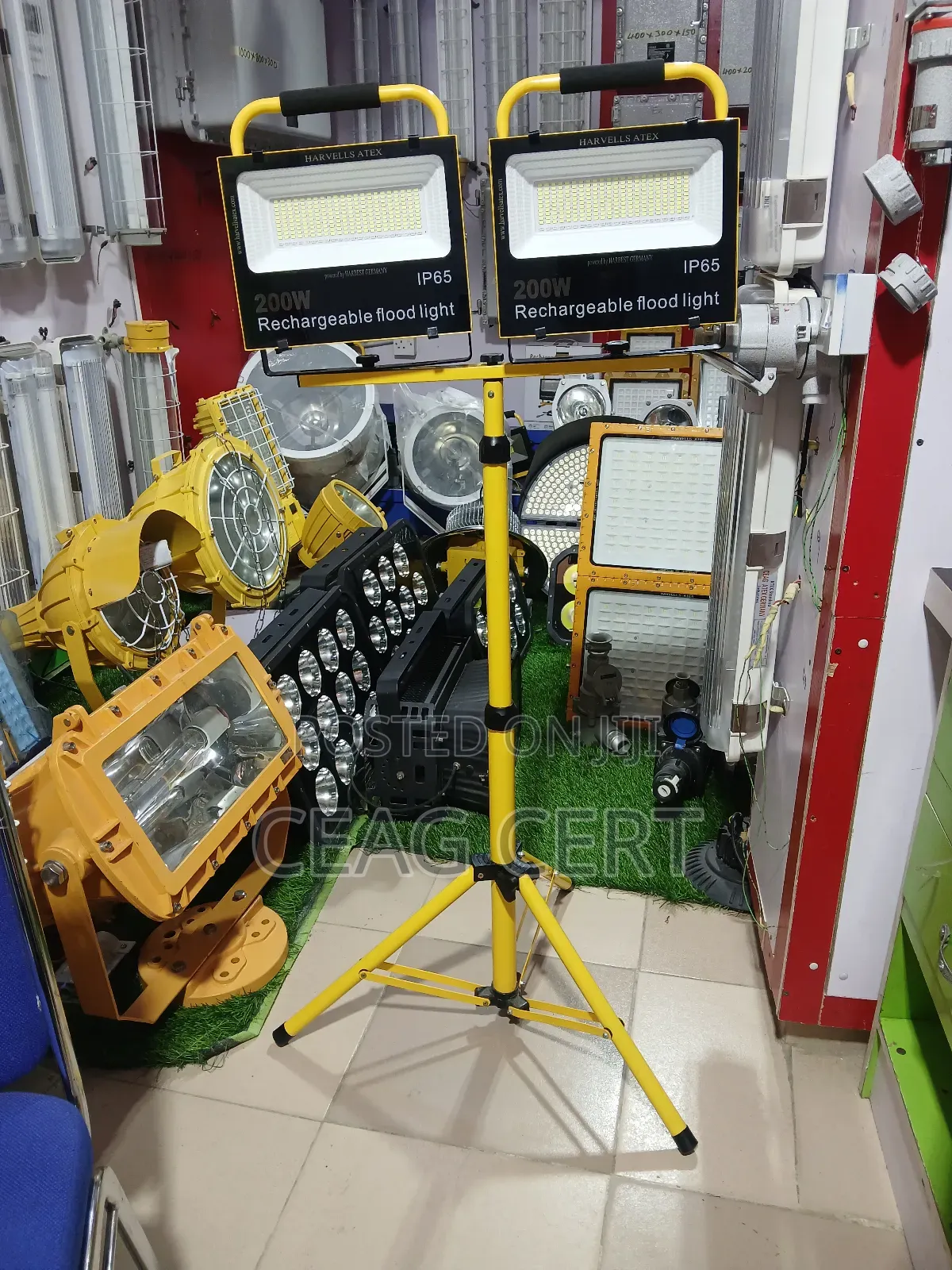 Standing Rechargeable Light