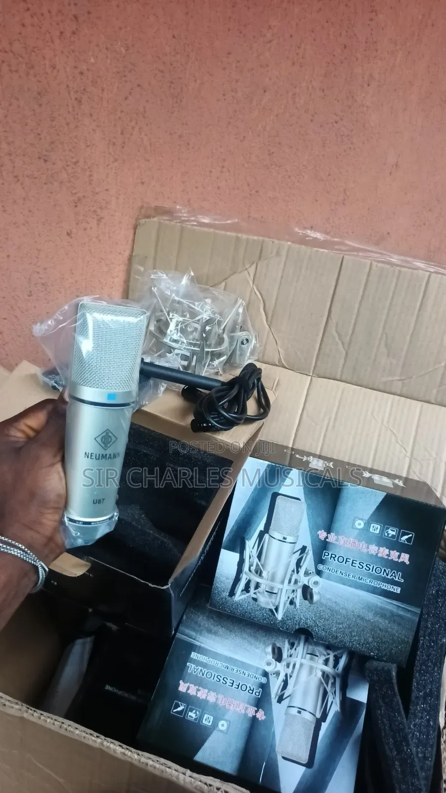 Neumann U87 Condenser Microphone