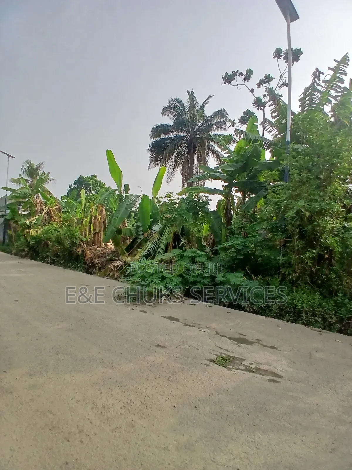 Buy and Build and Move in One Plot of Land