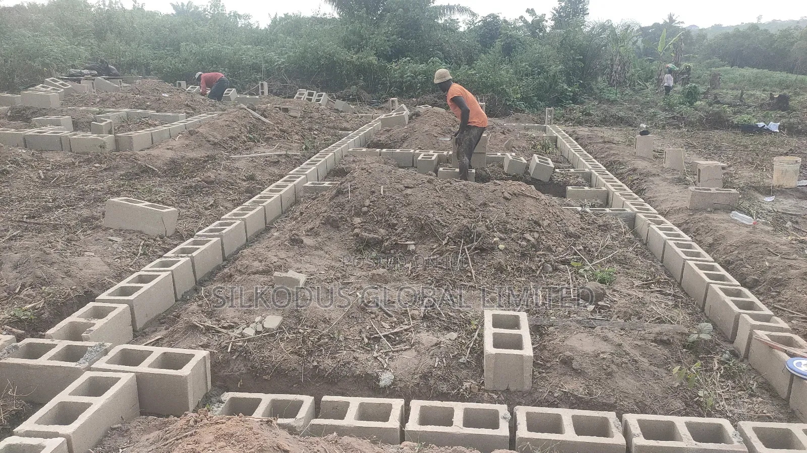 Automated Poultry Farm