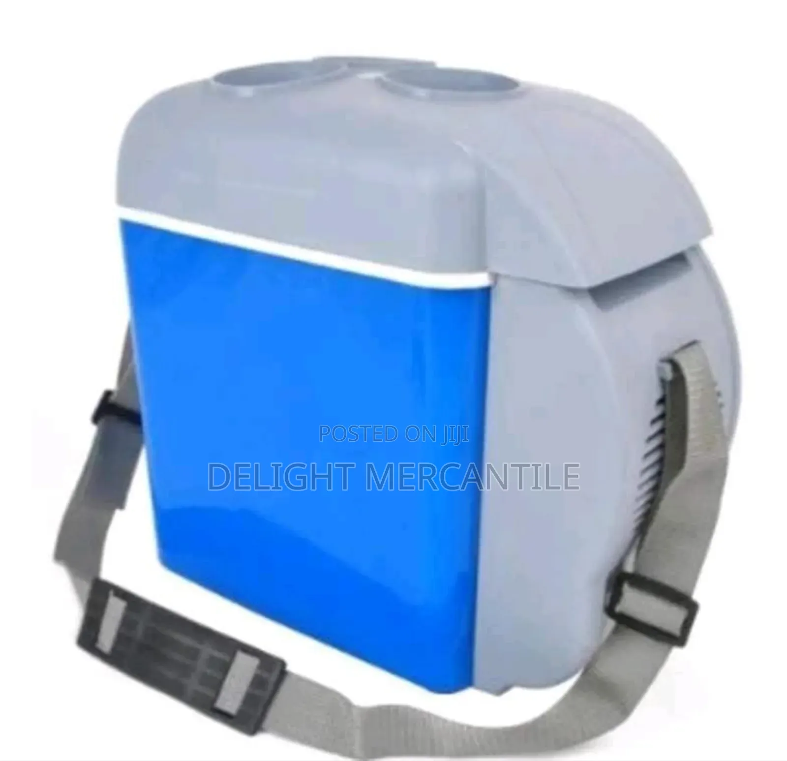Portable Mini Car Refrigerator