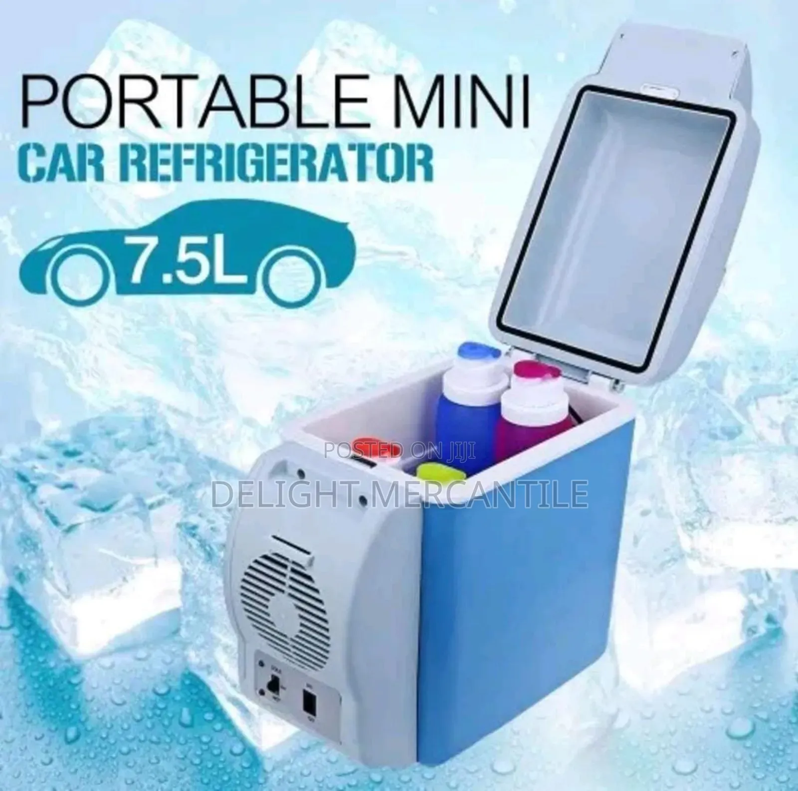 Portable Mini Car Refrigerator