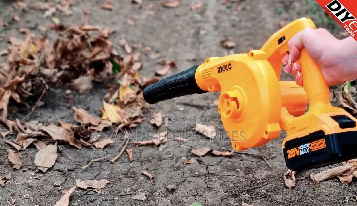 Ingco 20v Cordless Air Blower With Battery and Charger
