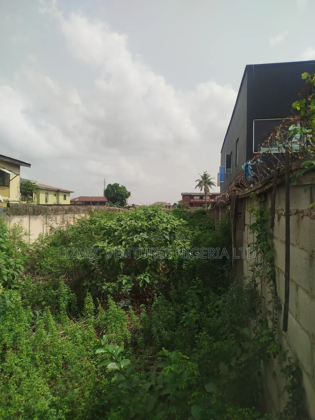 Virgin Land Facing the Road for Sale