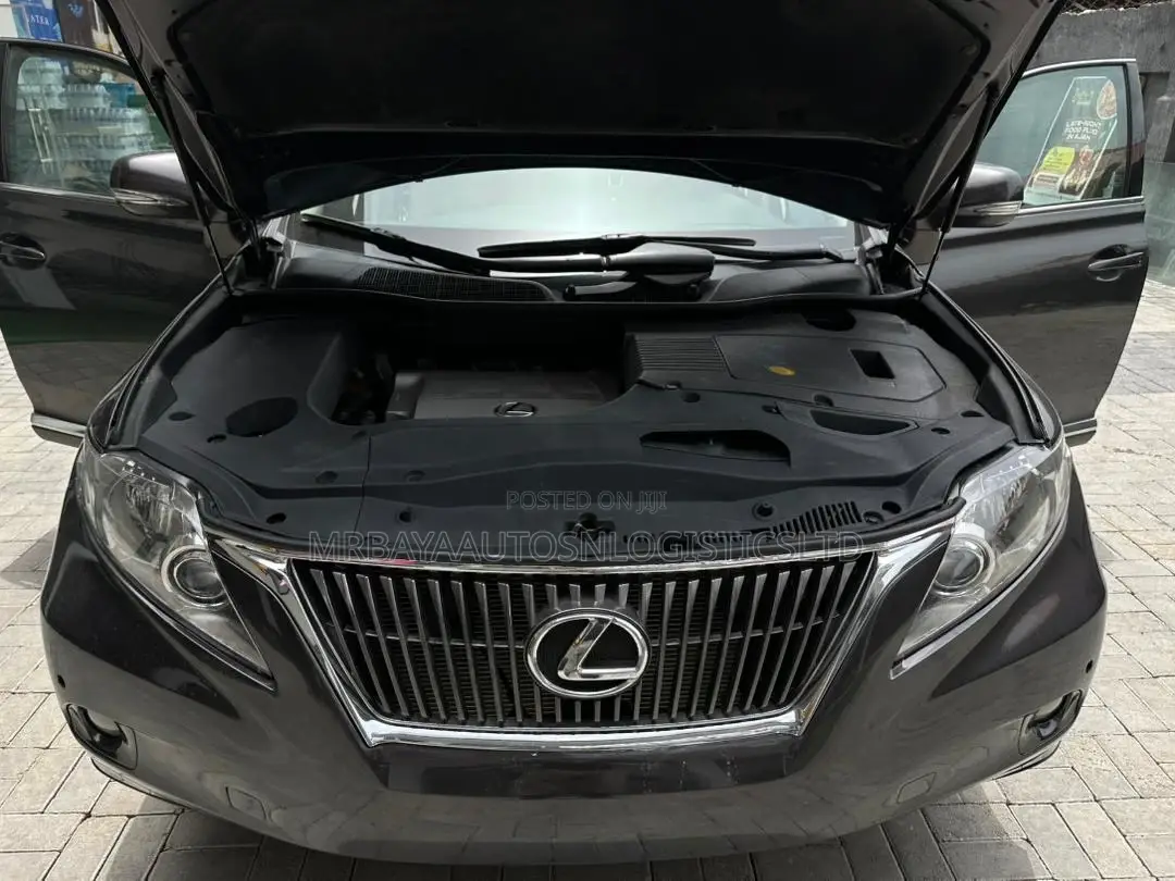 Lexus RX 350 2010 Gray