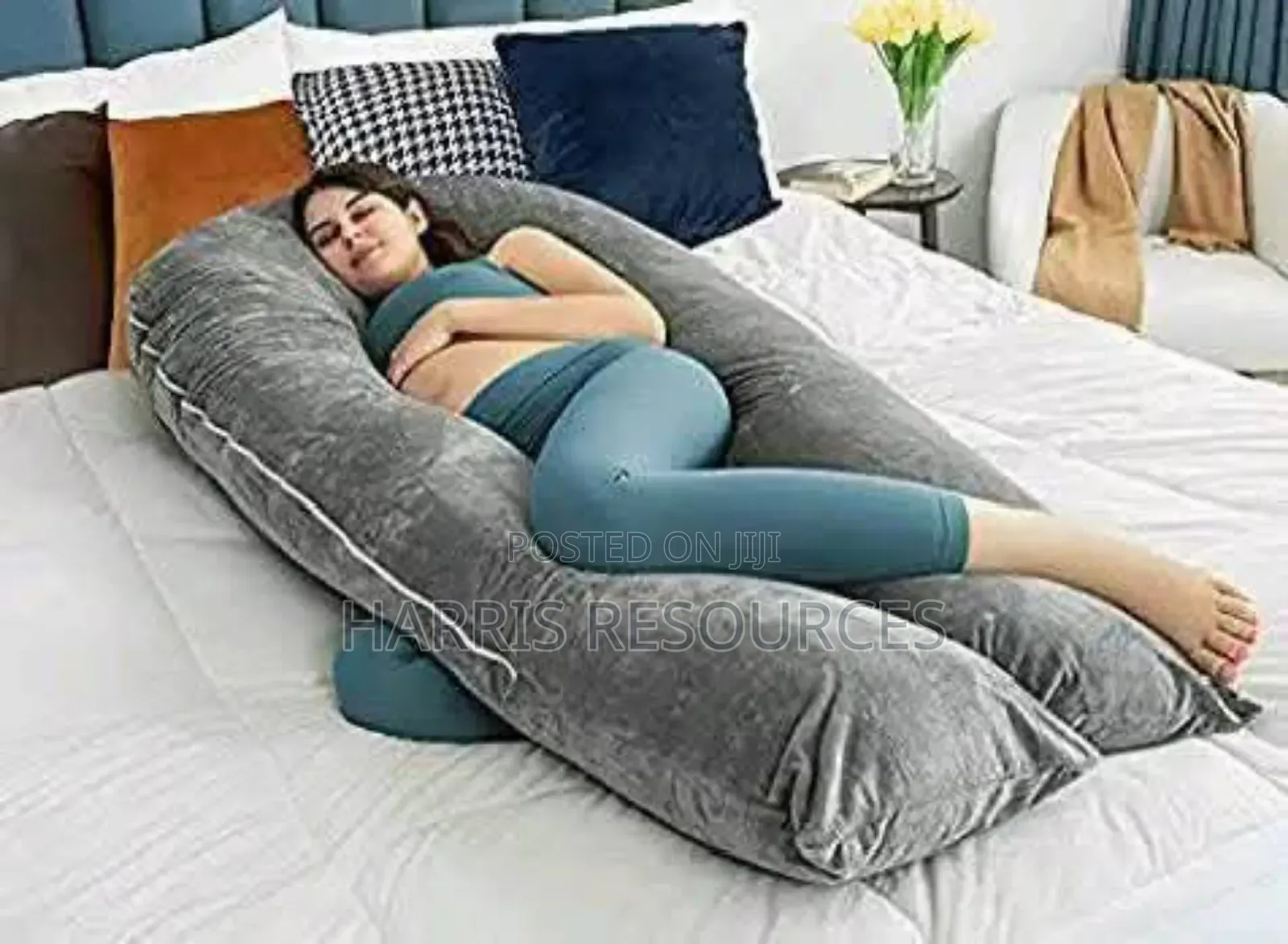 Dream Genii 2-in-1 Pregnancy Breastfeeding Support
