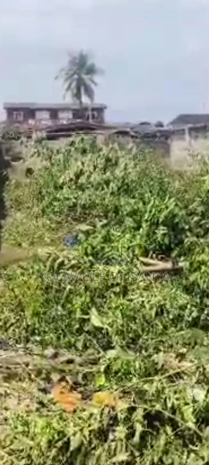 Commercial Half Plot of Land on Ikotun Igando Rd