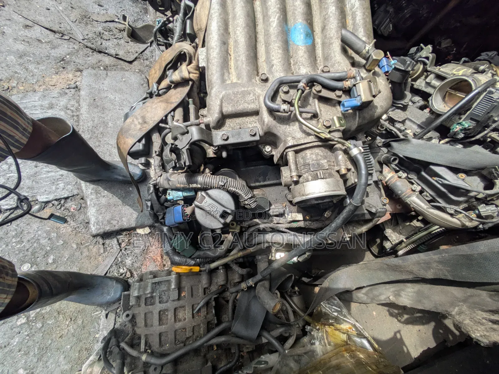 Nissan Pathfinder Engine 3.5 2002