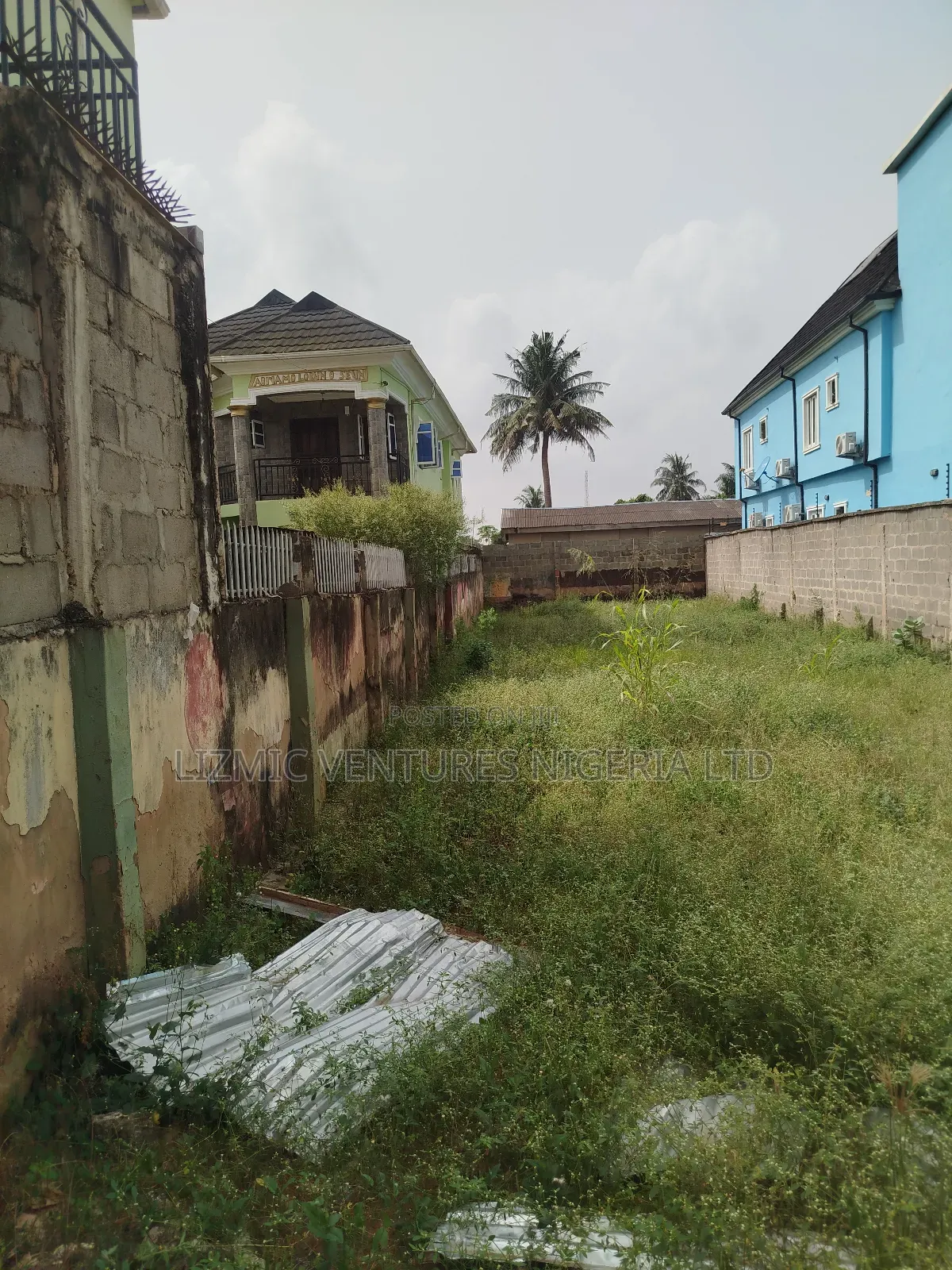 Virgin Land on Half Plot for Sale