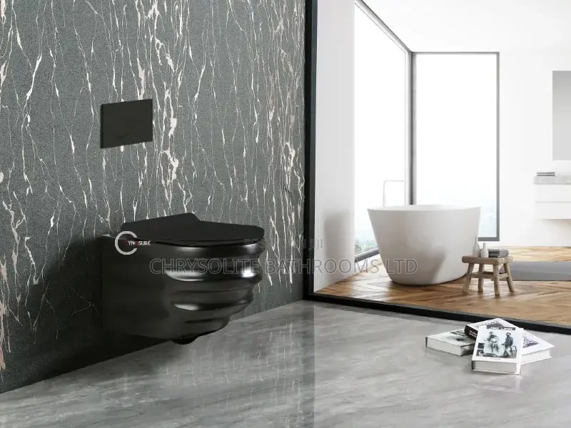 Black Cy3 Wall-Hung Closet