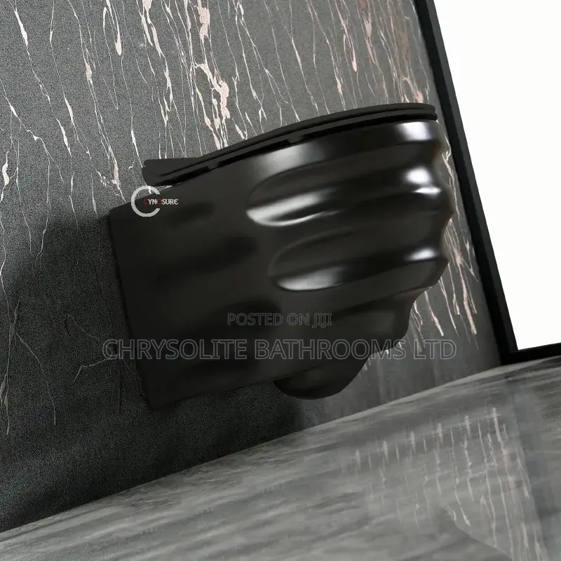 Black Cy3 Wall-Hung Closet