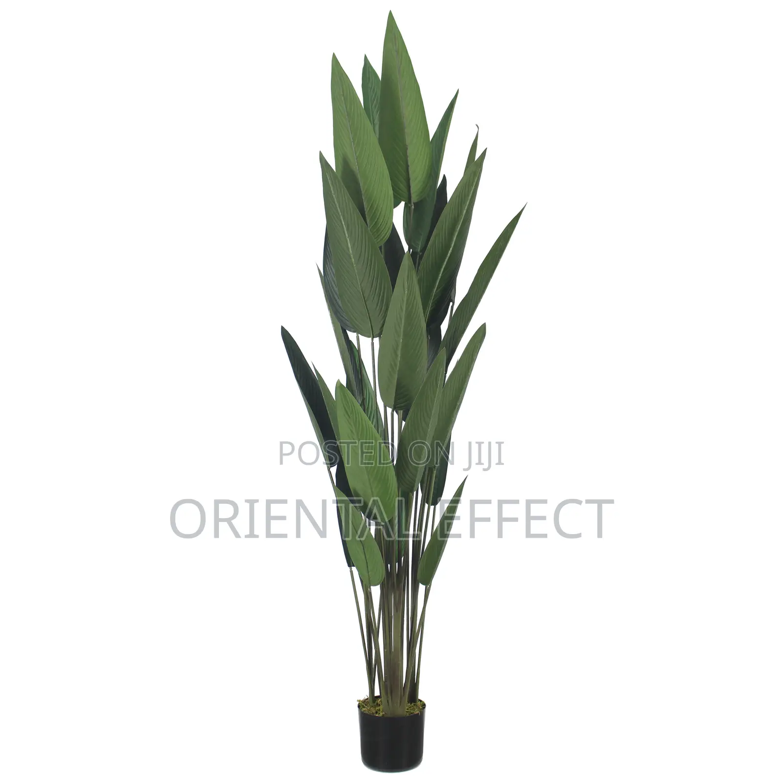 Traveller Palm 180cm Artificial Indoor Plant for Sale Nigeria
