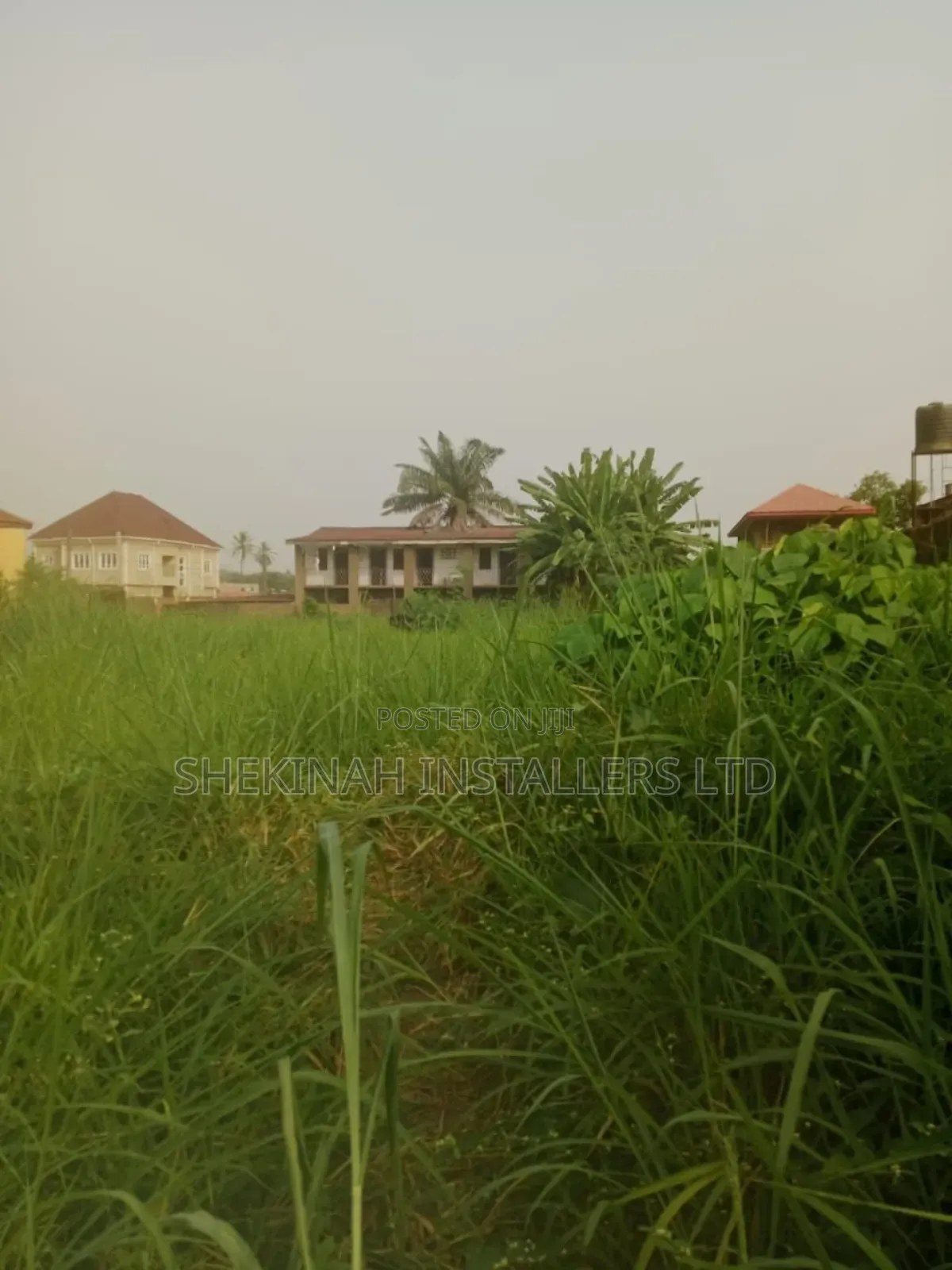 A Full Plot of Land
