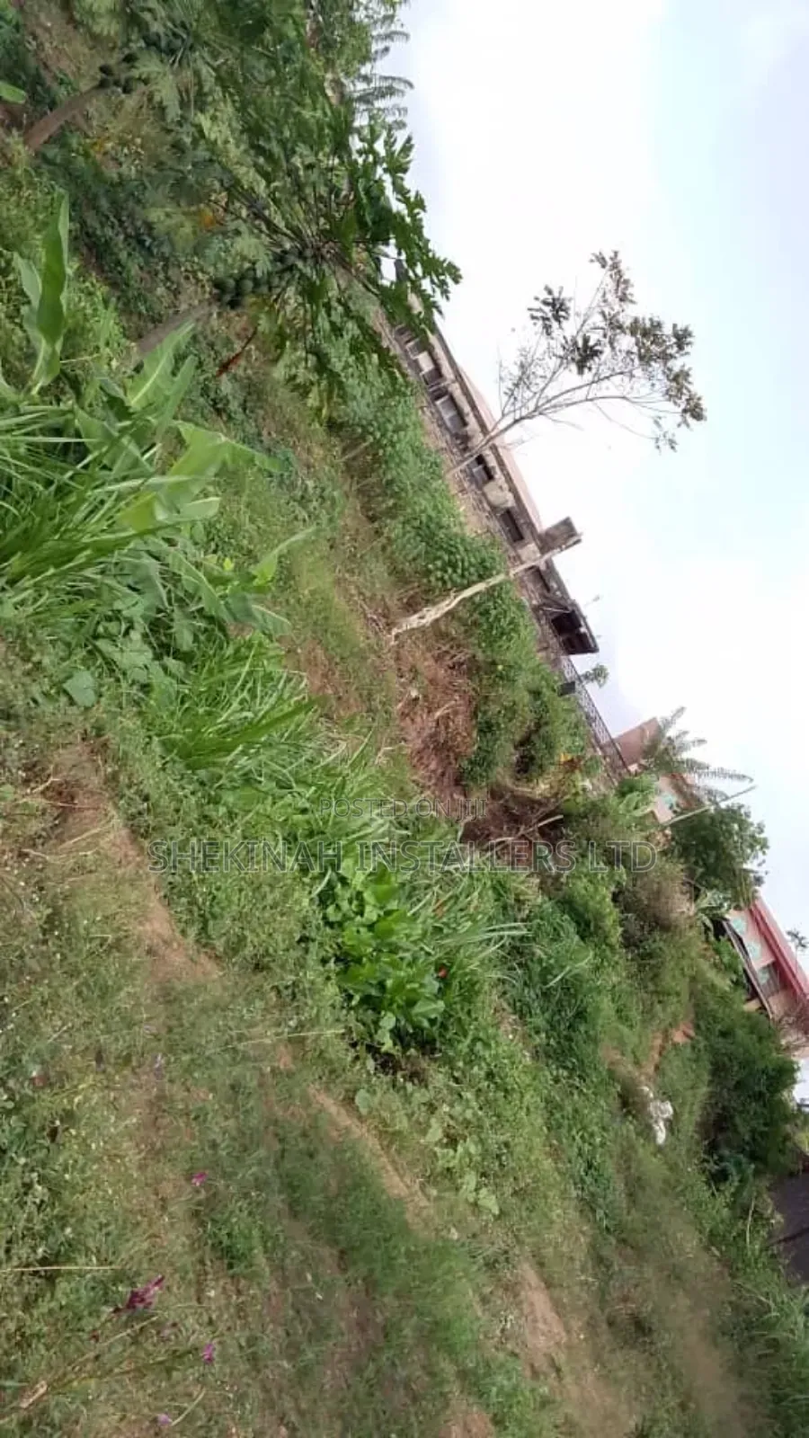 A Full Plot of Land