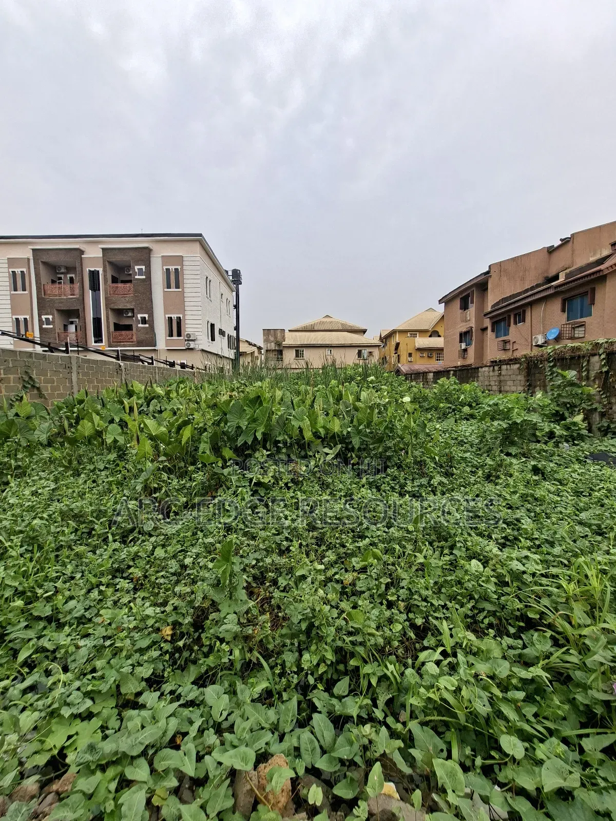 Standard Full Plot With Cofo