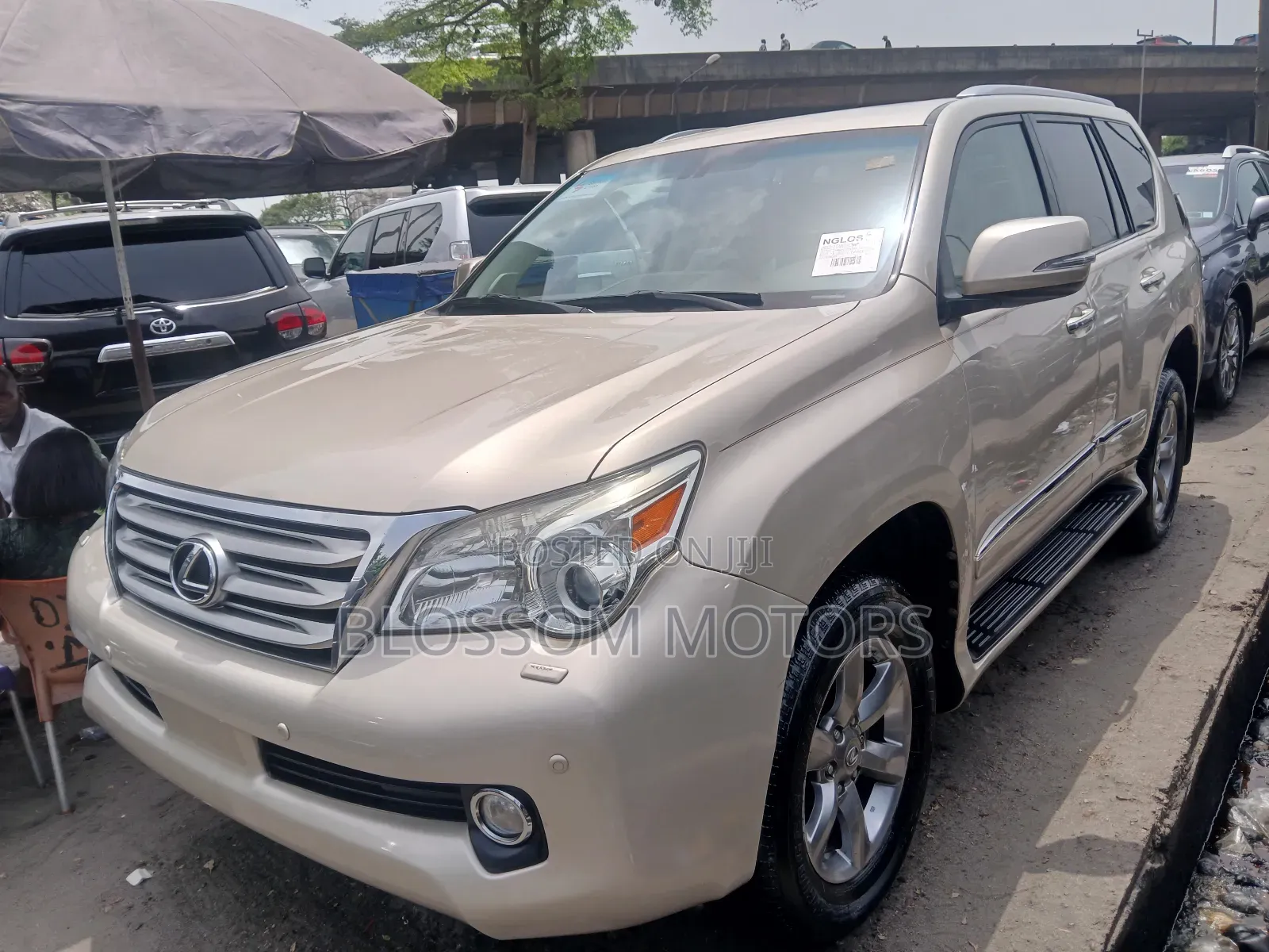 Lexus GX 460 Premium 2013 Gold