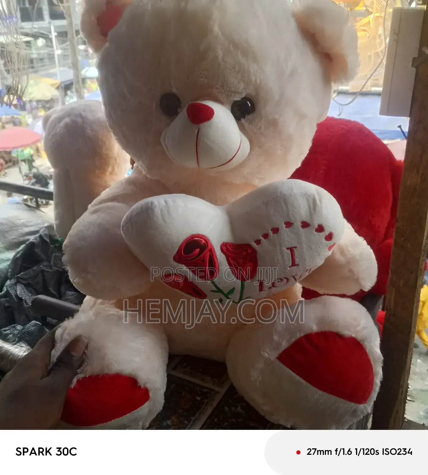 Cute Teddy Bear Available in Different Designs and Sizes