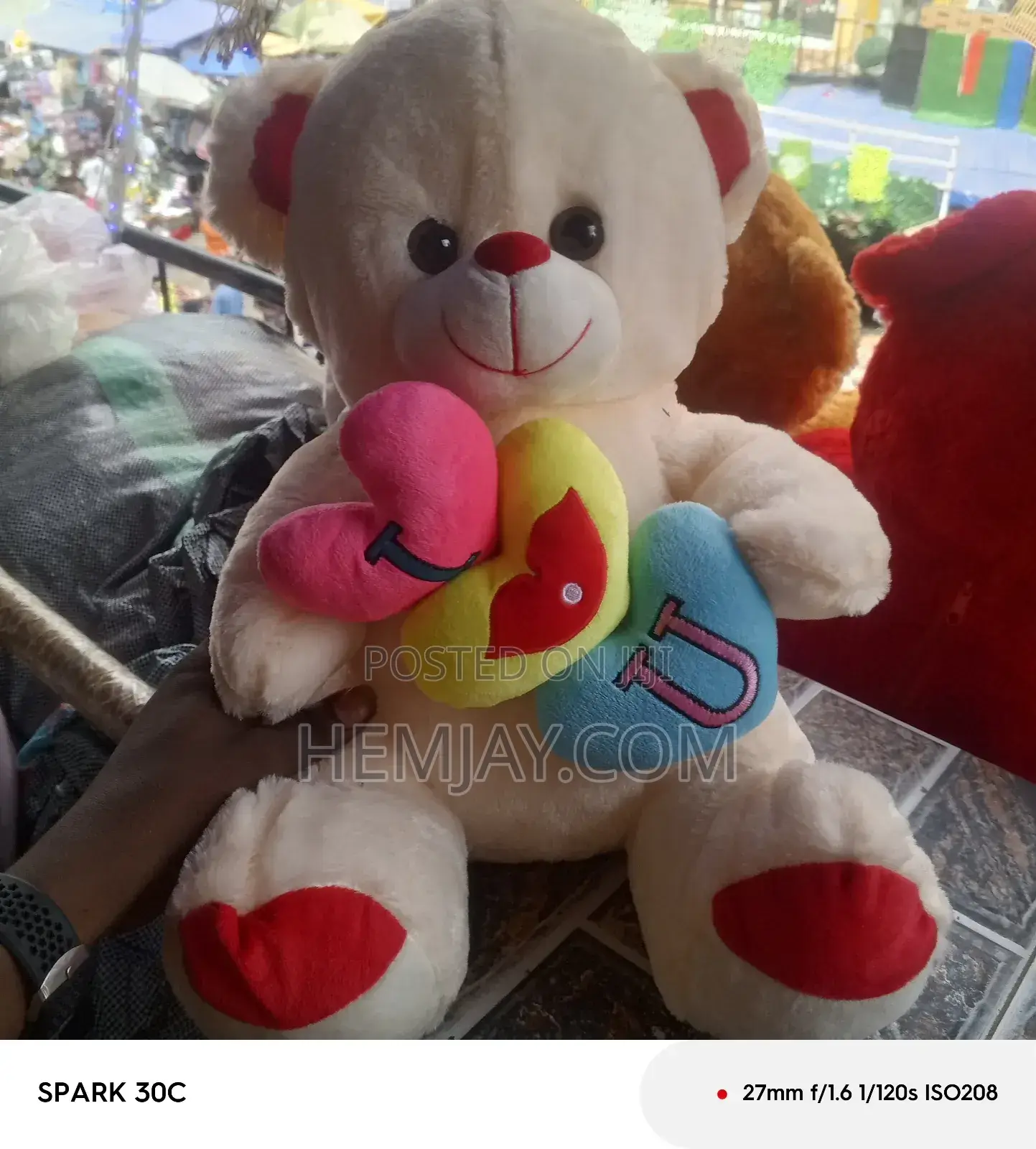 Cute Teddy Bear Available in Different Designs and Sizes