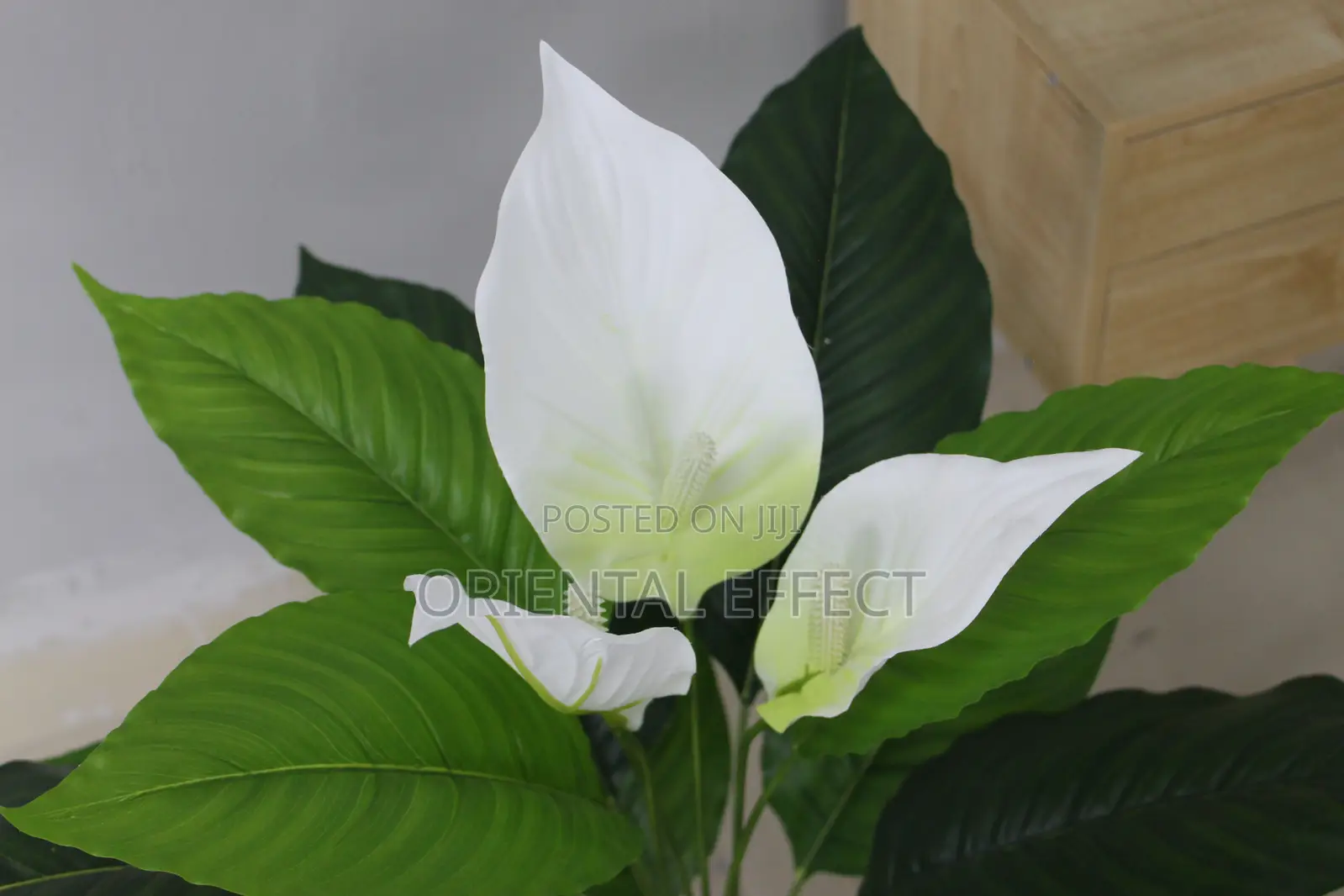 Artificial Anthurium Plant 70cm – Elegant Indoor Decorative Plant