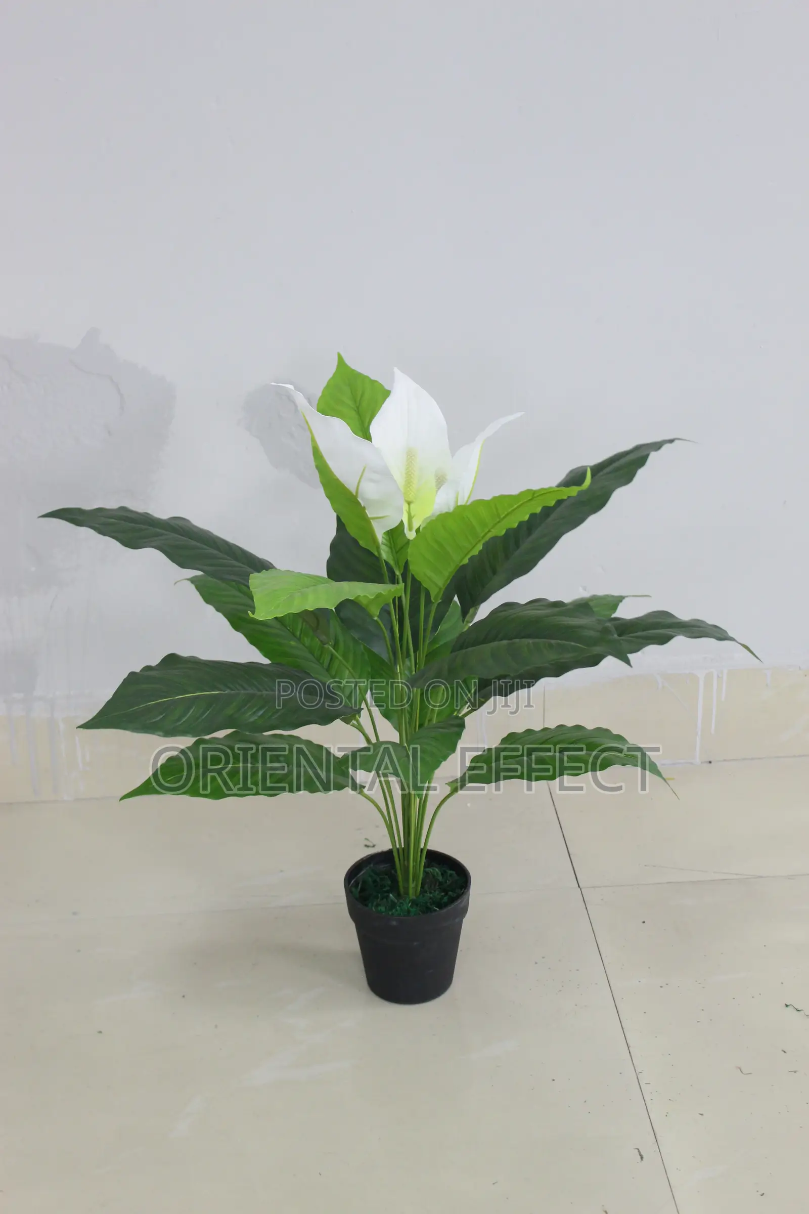Artificial Anthurium Plant 70cm – Elegant Indoor Decorative Plant