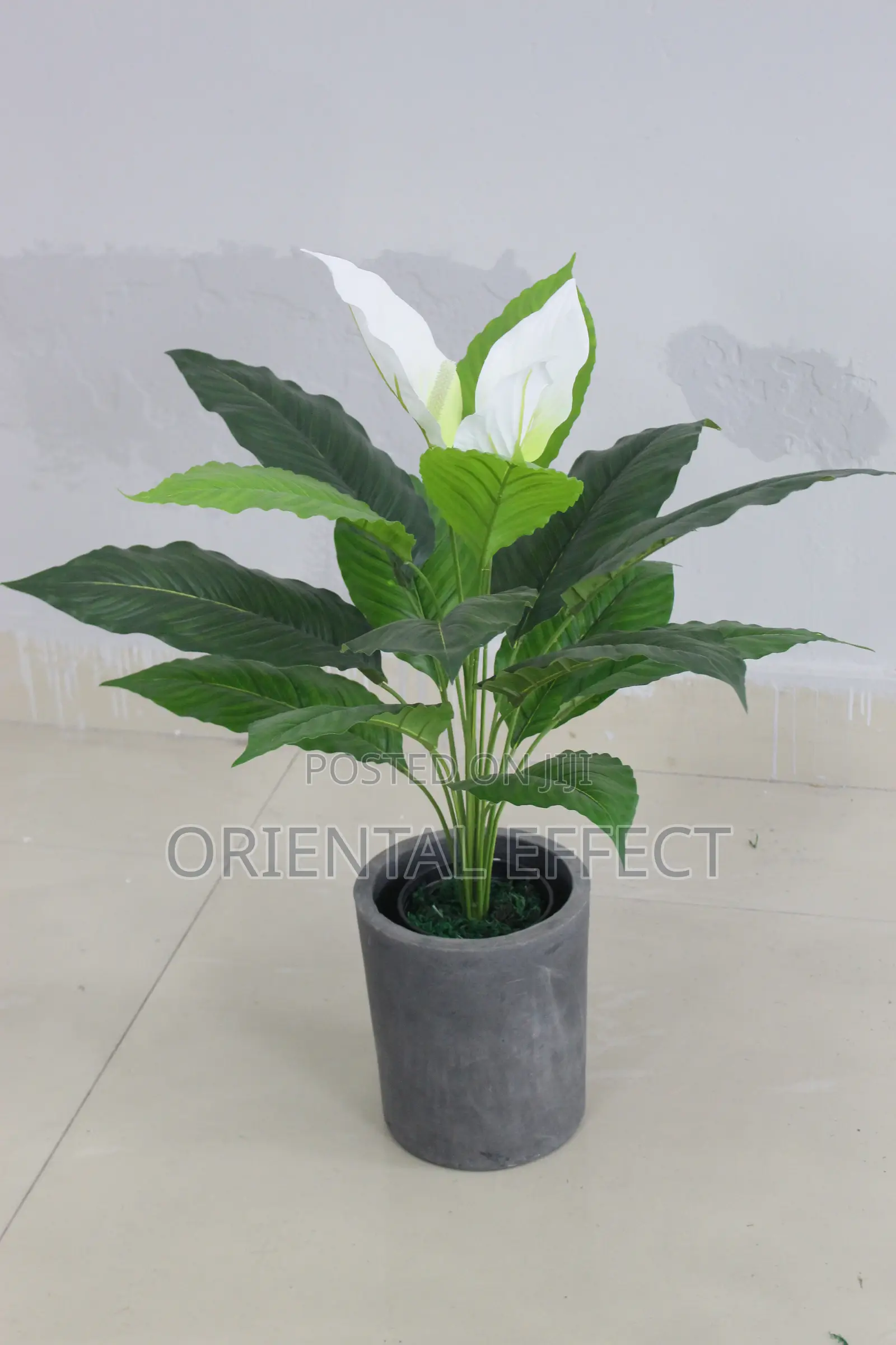 Artificial Anthurium Plant 70cm – Elegant Indoor Decorative Plant