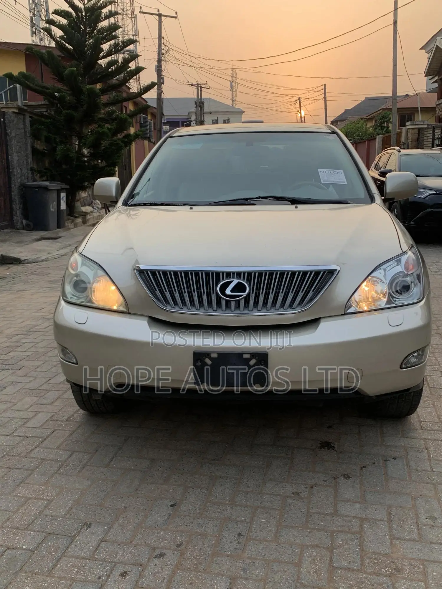 Lexus RX 330 2005 Gold