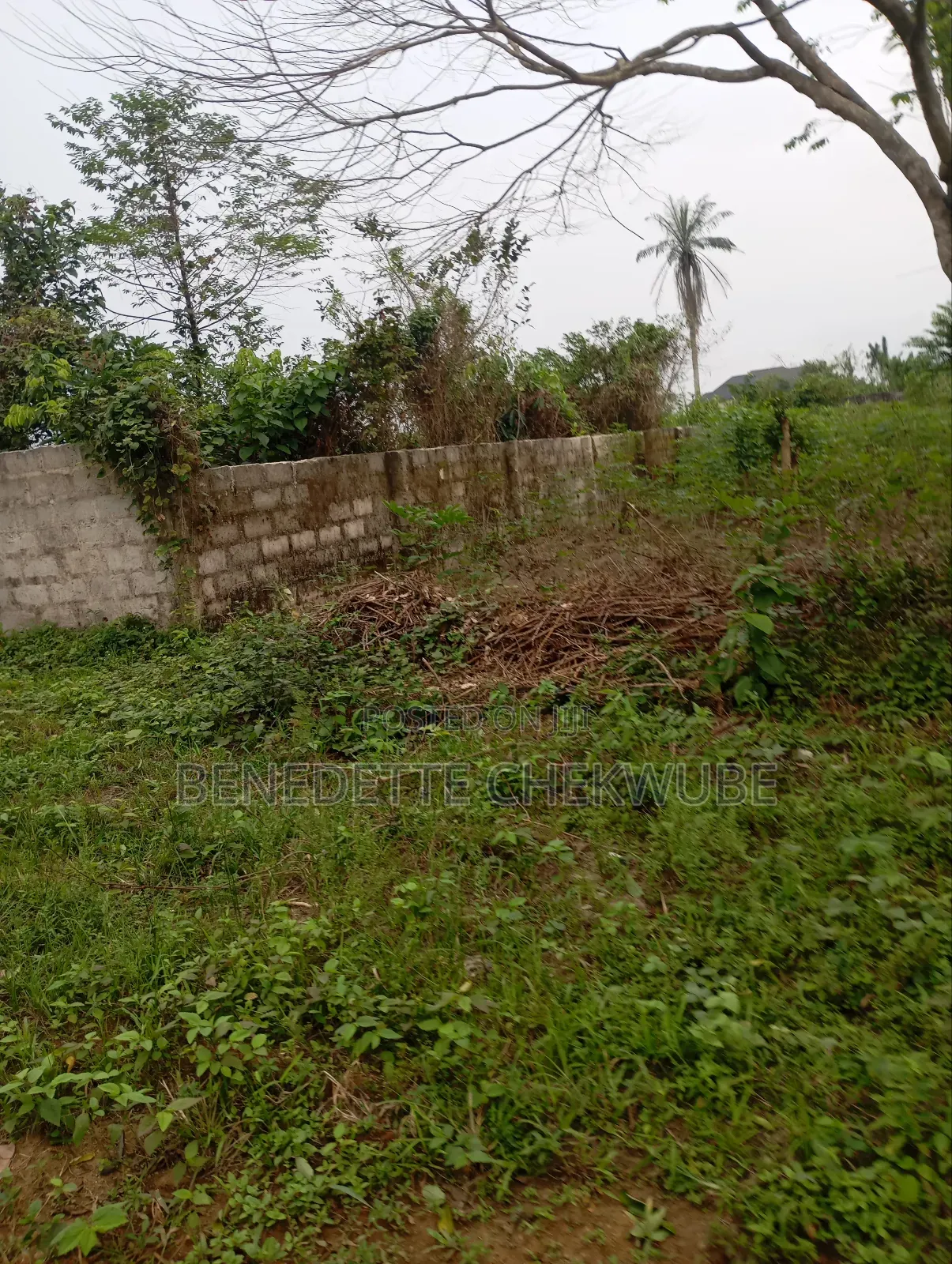 For Sale: Two Plots of Land