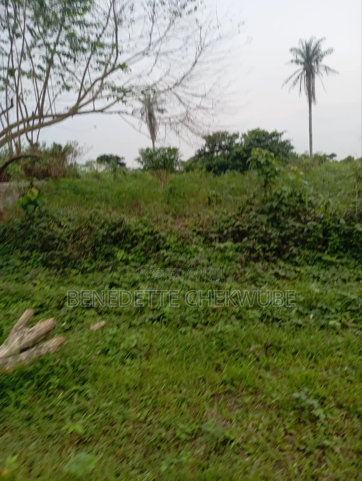 For Sale: Two Plots of Land