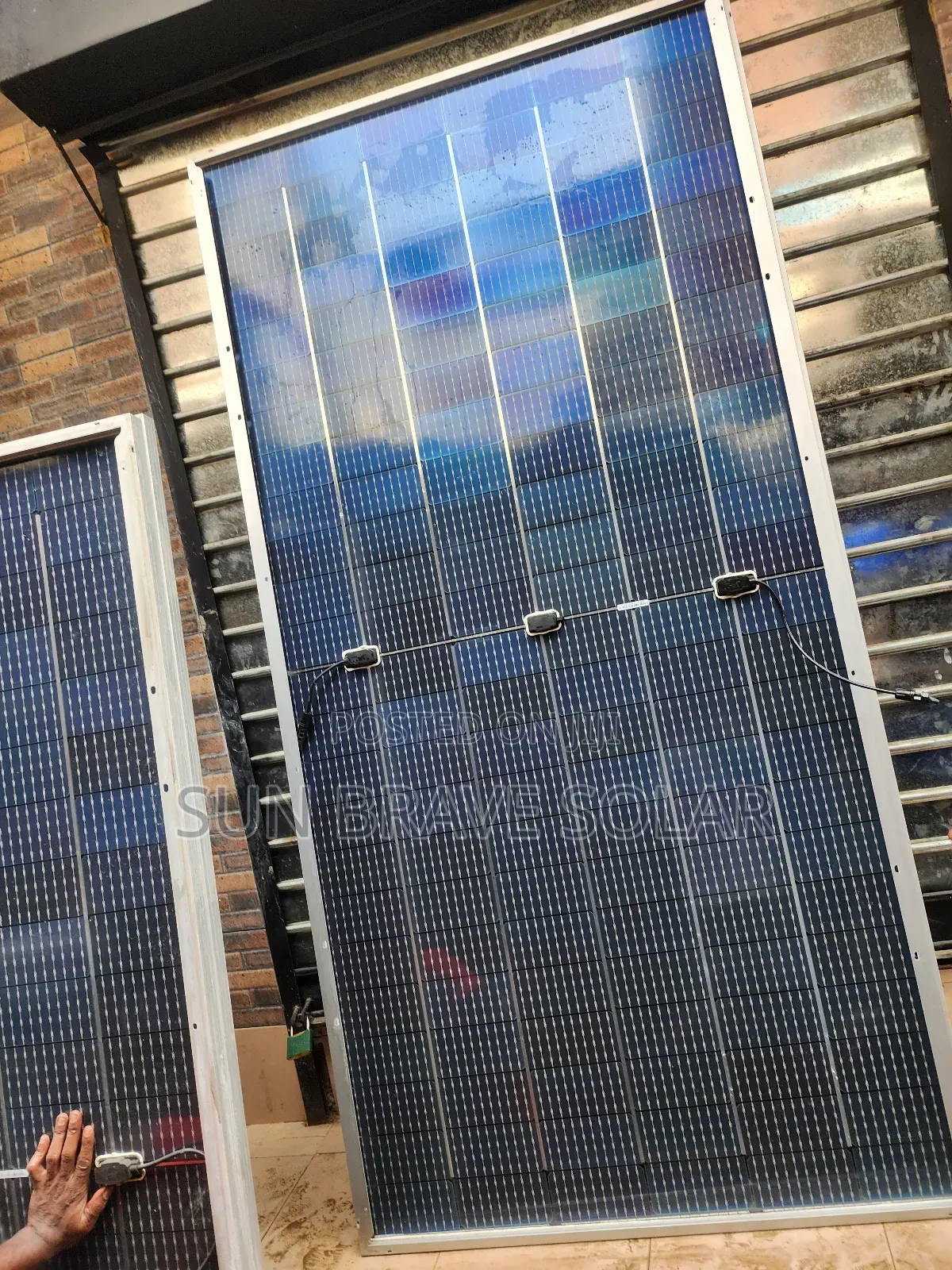 650w Jinko Mono Solar Panels Available Now