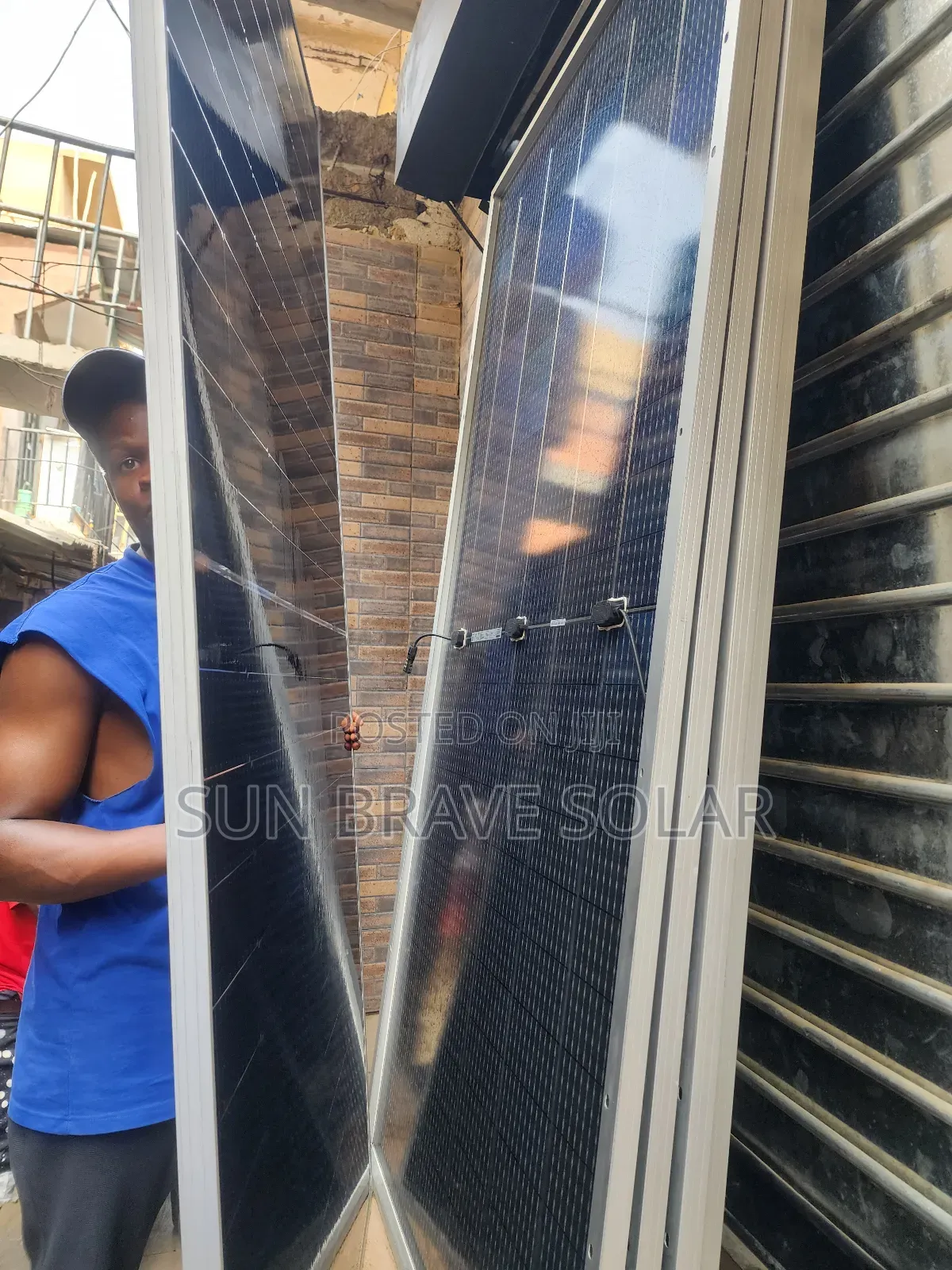 650w Jinko Mono Solar Panels Available Now