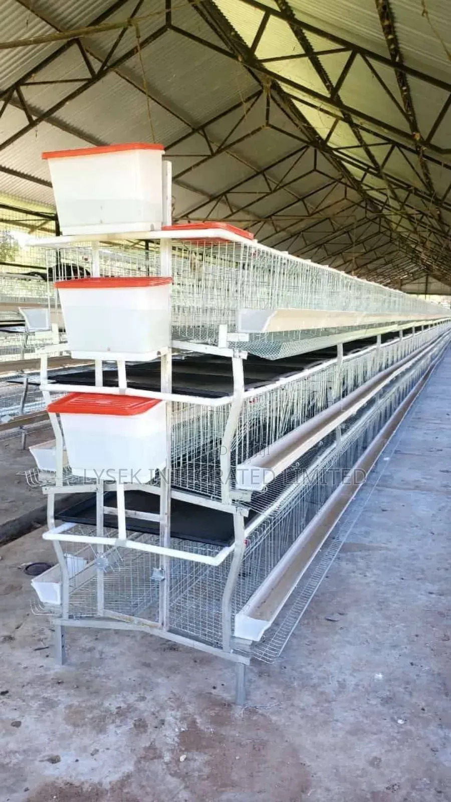 Imported Battery Cage For Layers And Broilers