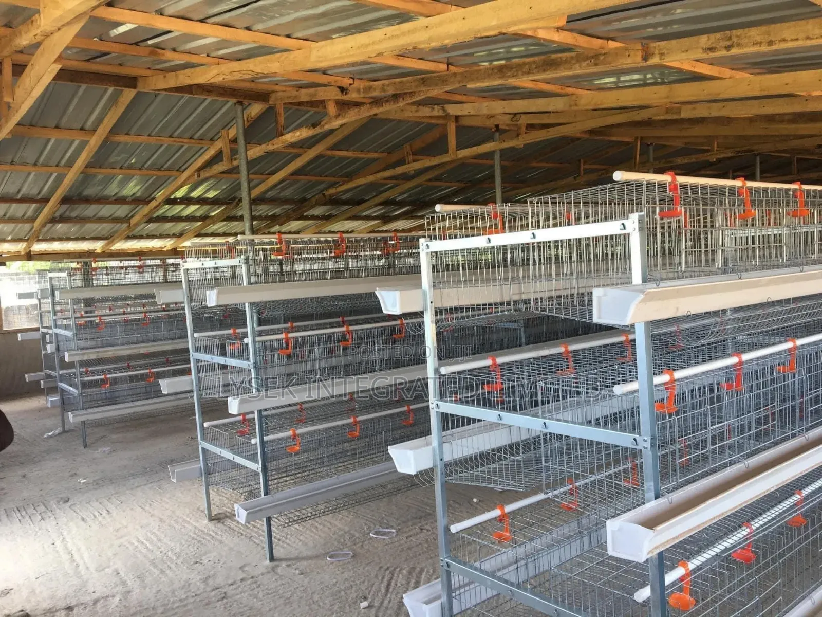 Poultry Farm Setup
