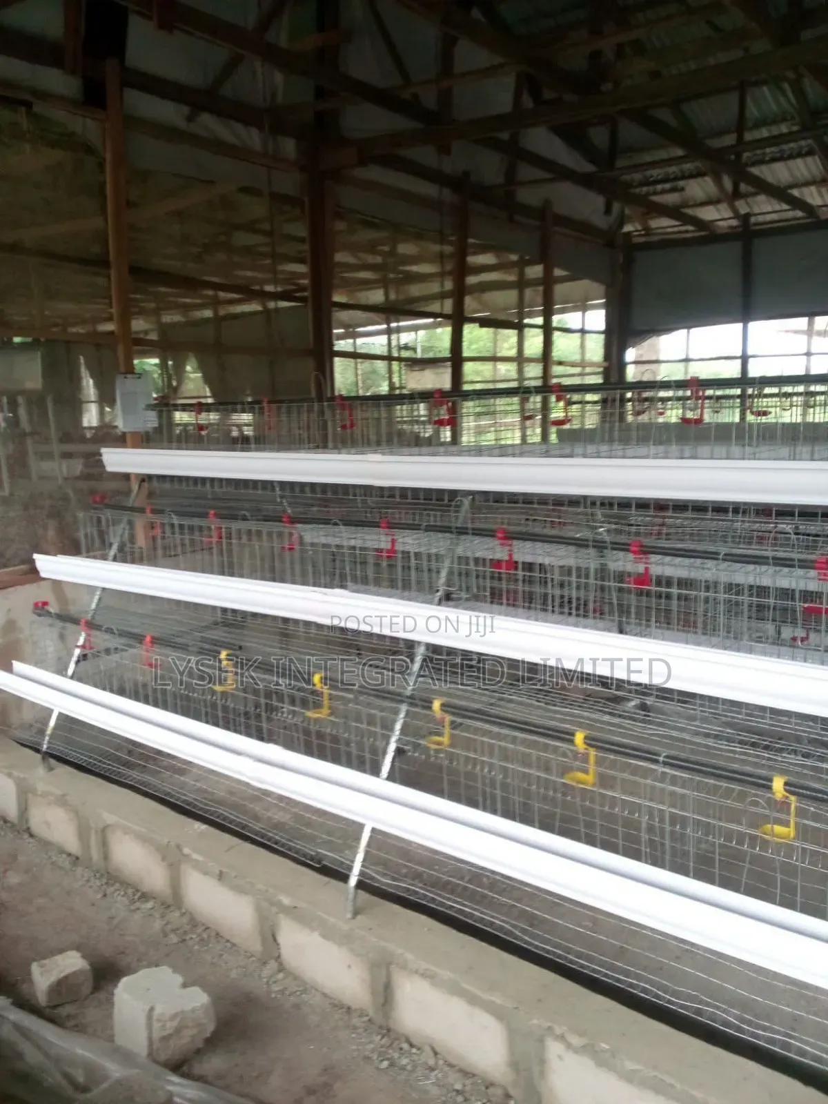 Cage For Chickens