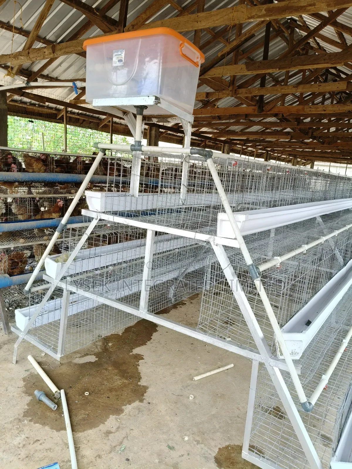 Poultry Pen House