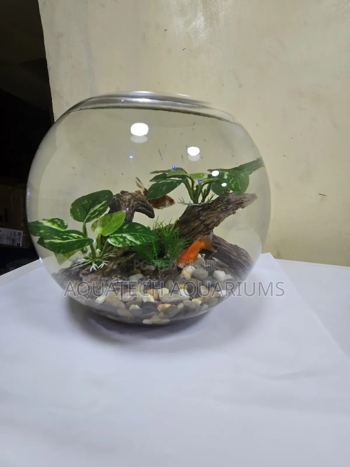 Aquarium Fish Bowl
